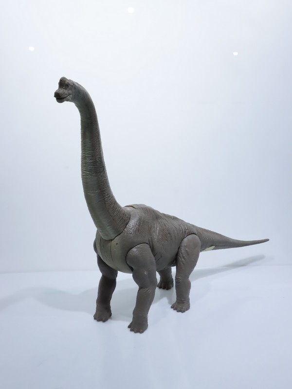 Brachiosaurus