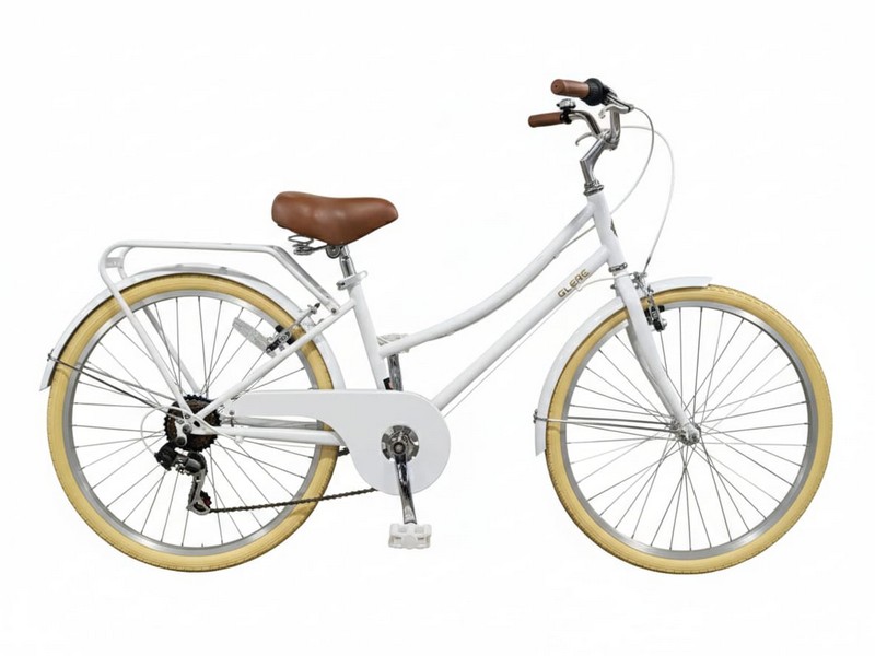 Bicicleta Estilo Clásica Rin 24