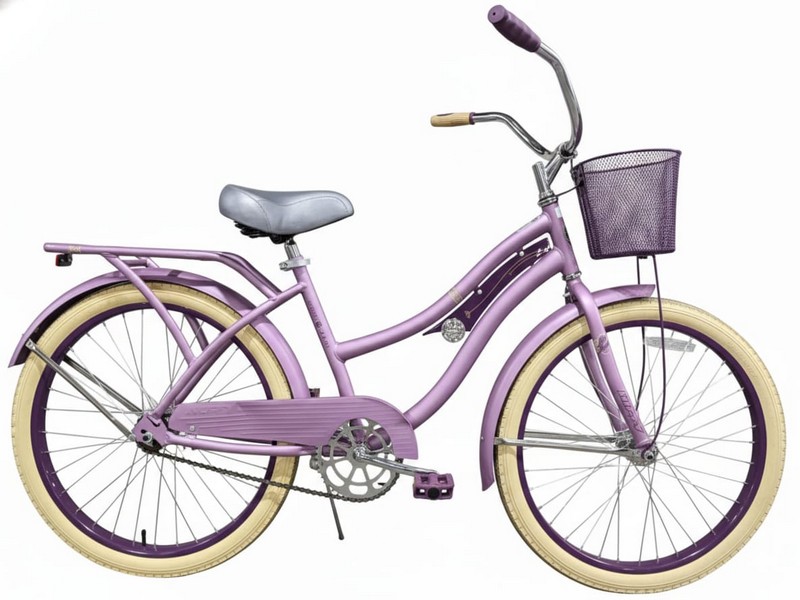 Bicicleta Estilo Clásica Rin 24