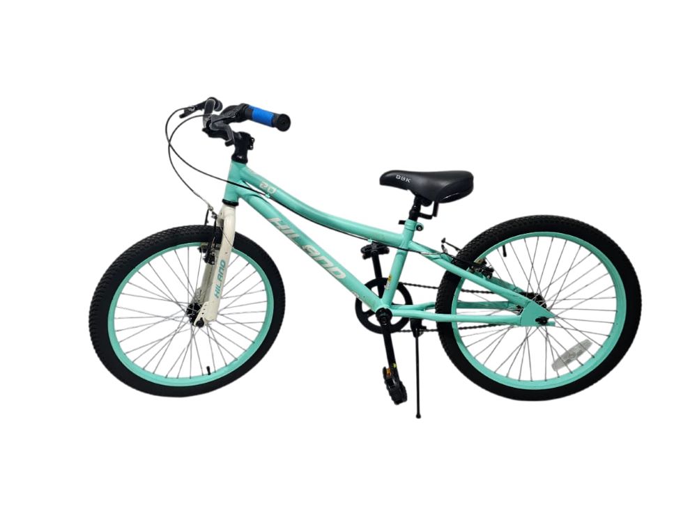 Bicicleta De Montaña Rin 20